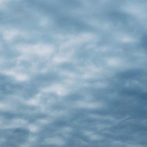 Meet your Posher, Dani